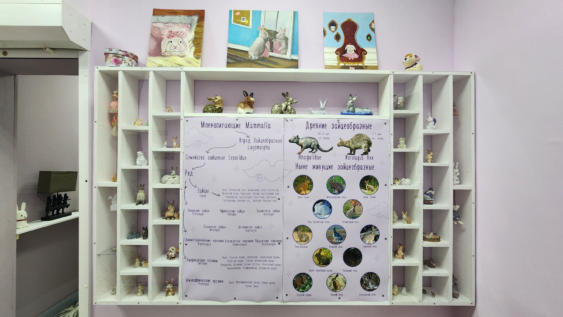 Солнечногорск, культура, музей, кролики и зайцы,