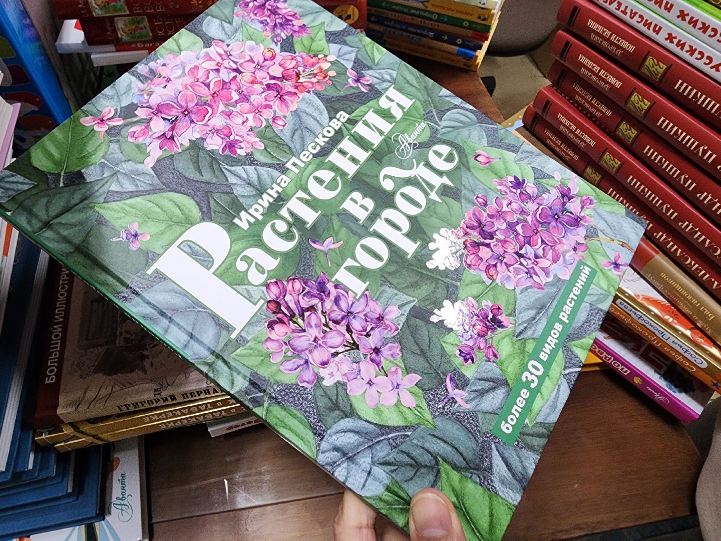 красноармейск, г.о. пушкинский, новые книги, модернизация библиотек,