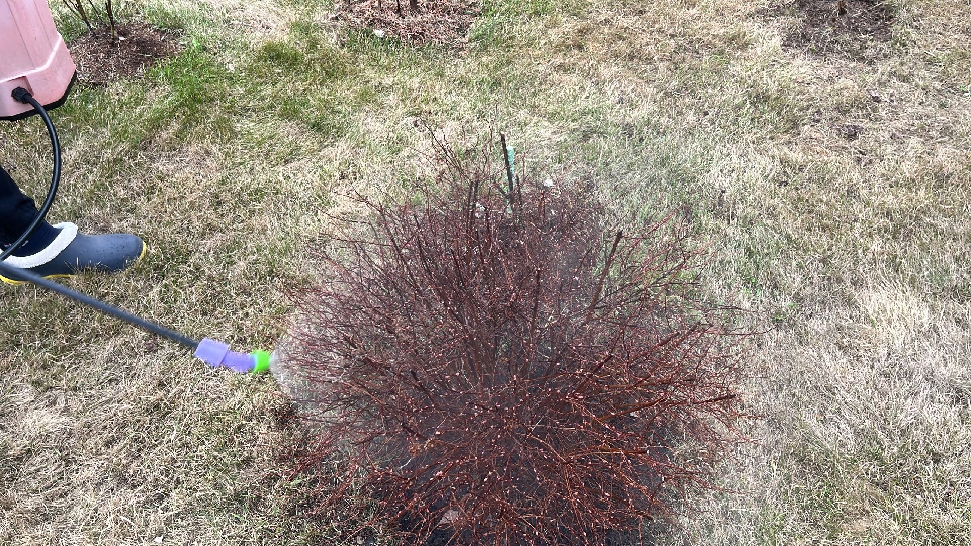 дача, дачники, дачный сезон, уборка,