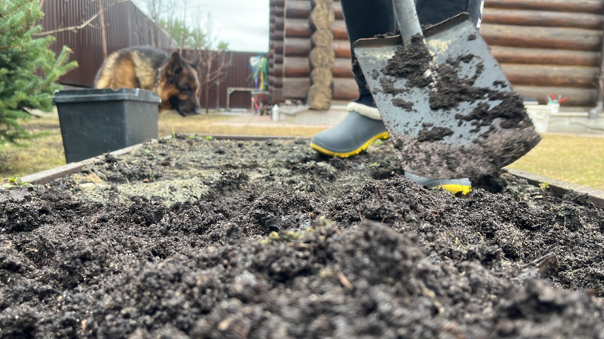 дача, дачники, дачный сезон, уборка,