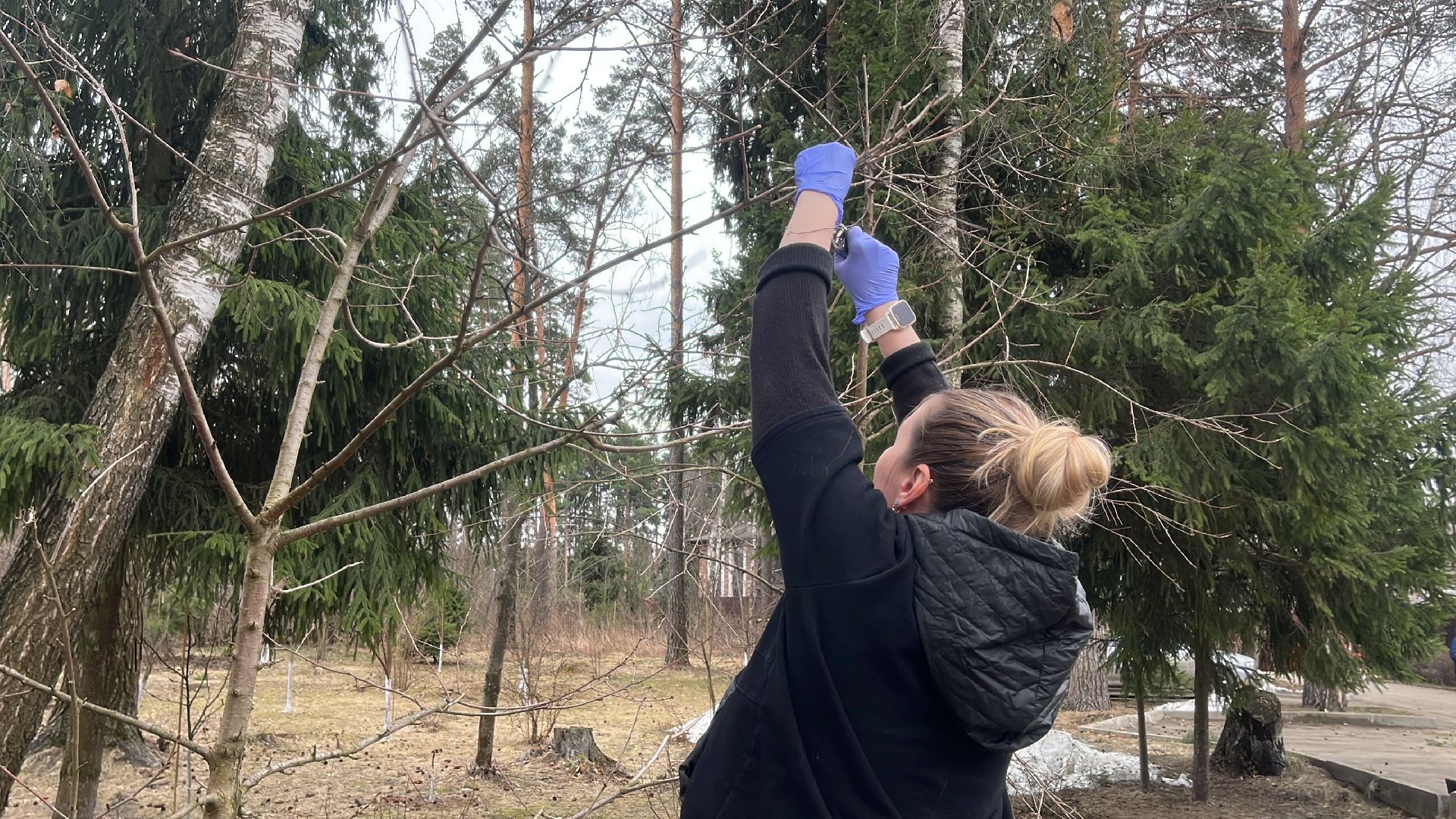 дача, дачники, дачный сезон, уборка,