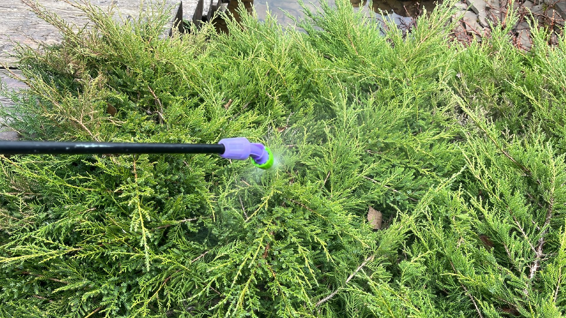 дача, дачники, дачный сезон, уборка,