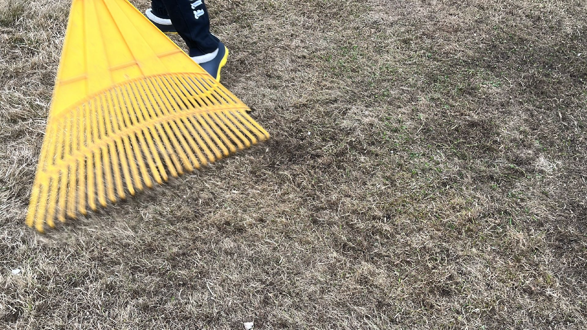 дача, дачники, дачный сезон, уборка,