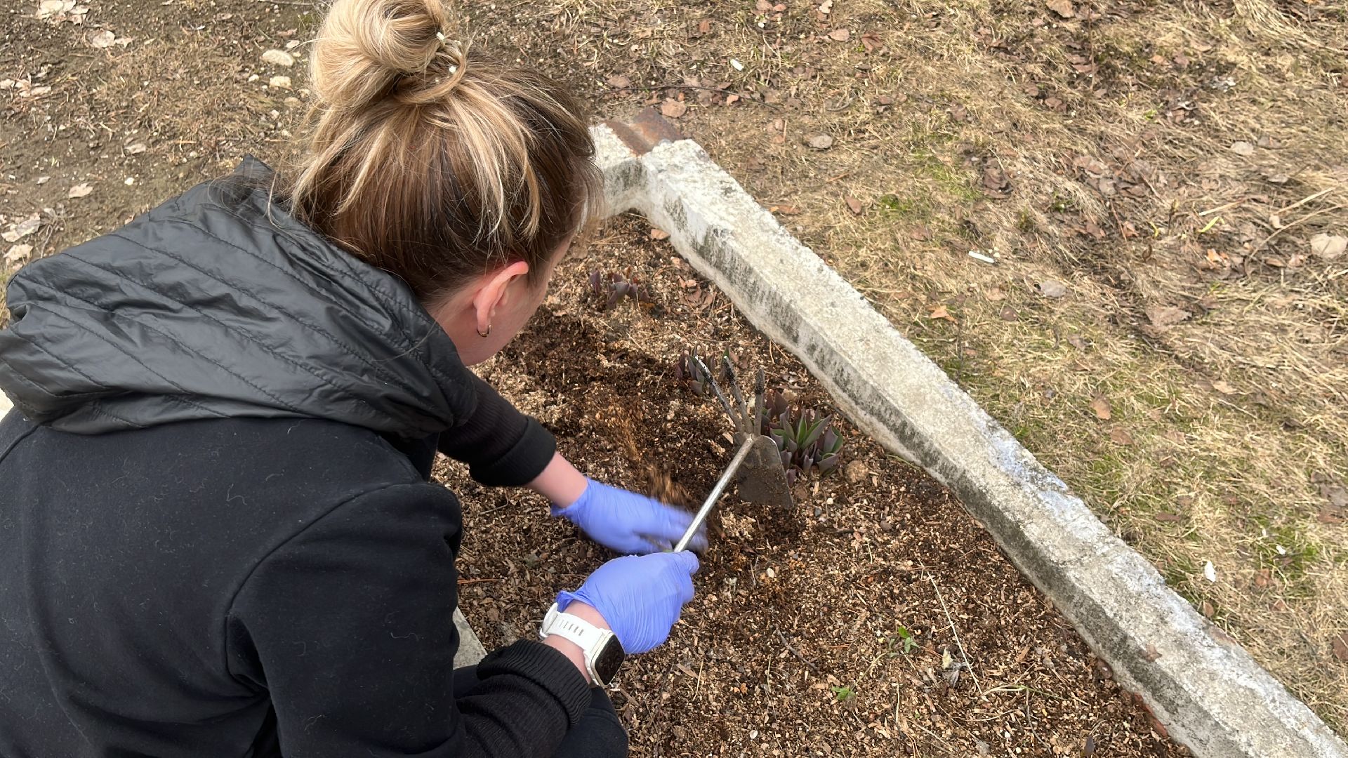 дача, дачники, дачный сезон, уборка,