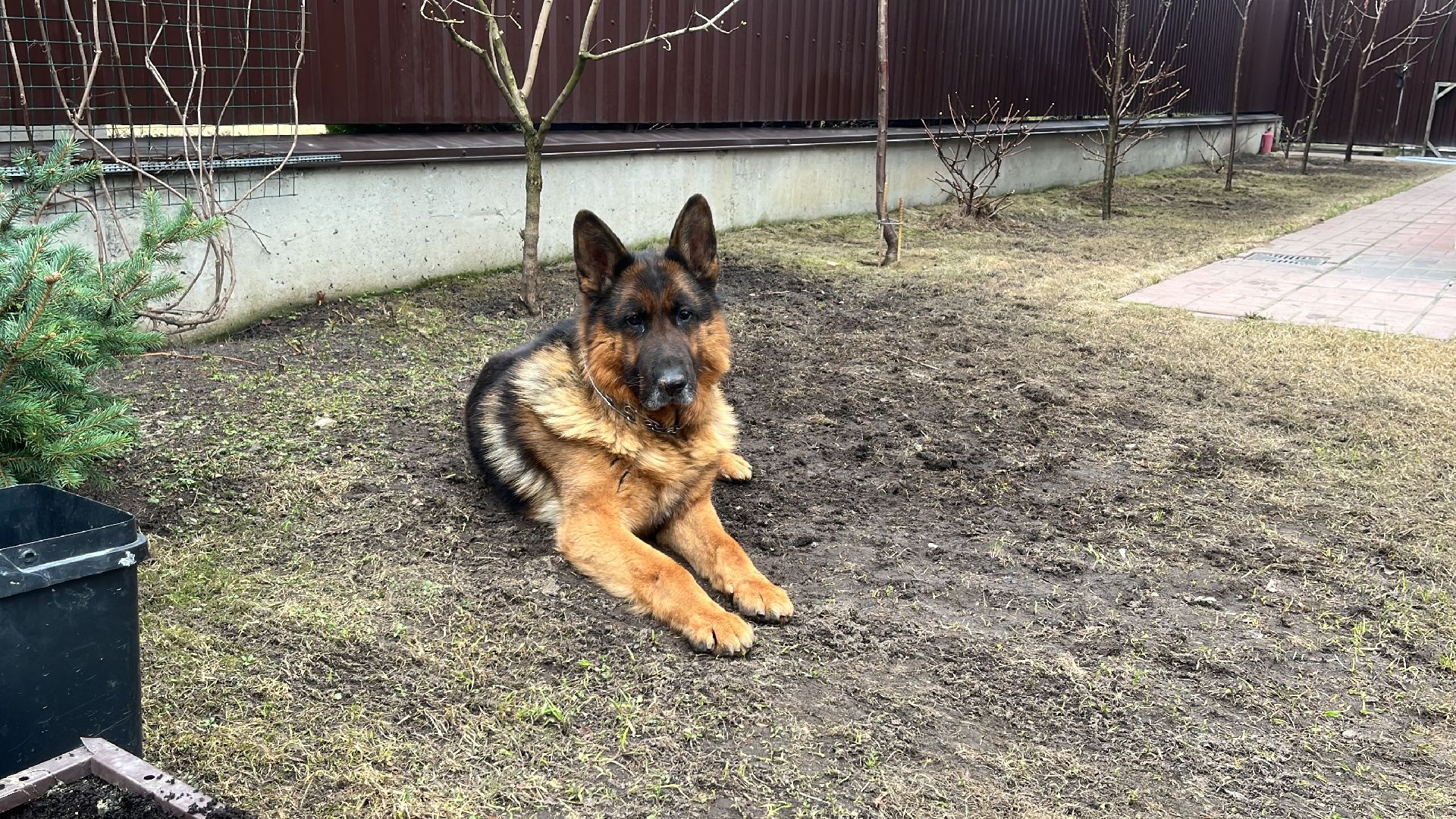 дача, дачники, дачный сезон, уборка,