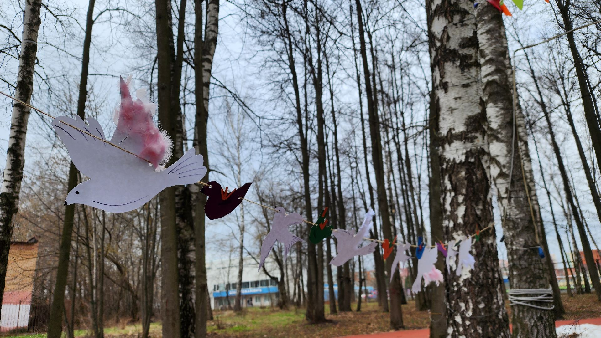 парки подмосковья, пернатые в парках, экология, Лосино-Петровский,