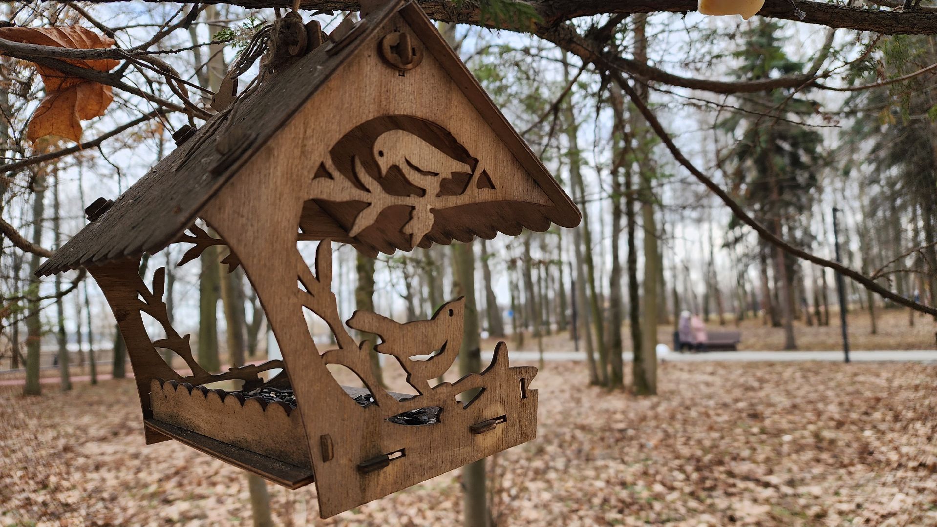 парки подмосковья, пернатые в парках, экология, Лосино-Петровский,