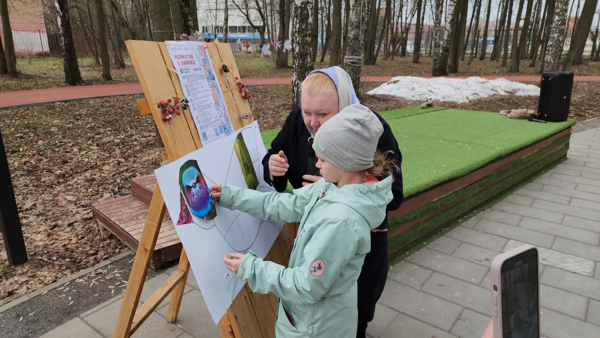 парки подмосковья, пернатые в парках, экология, Лосино-Петровский,