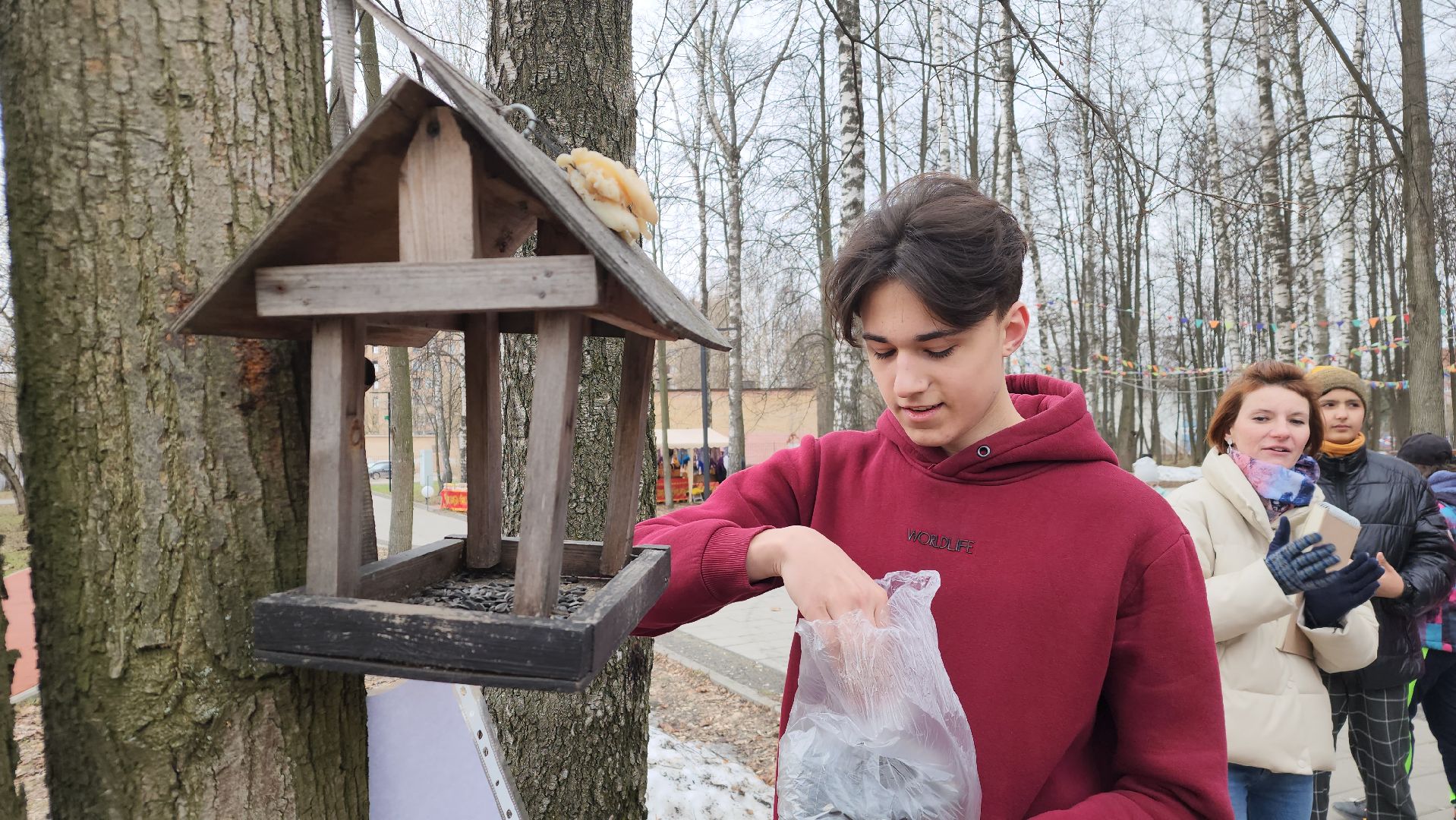 парки подмосковья, пернатые в парках, экология, Лосино-Петровский,