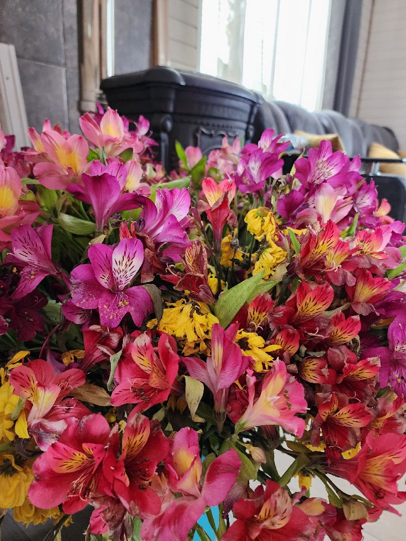 руза, запорожье, рузский городской округ, московская область, подмосковье, приемные дети, приемная семья,