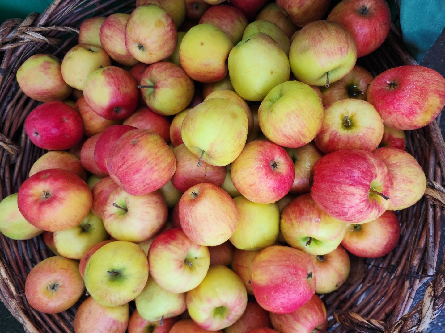 Звенигород, Ярмарка, Сельское хозяйство,