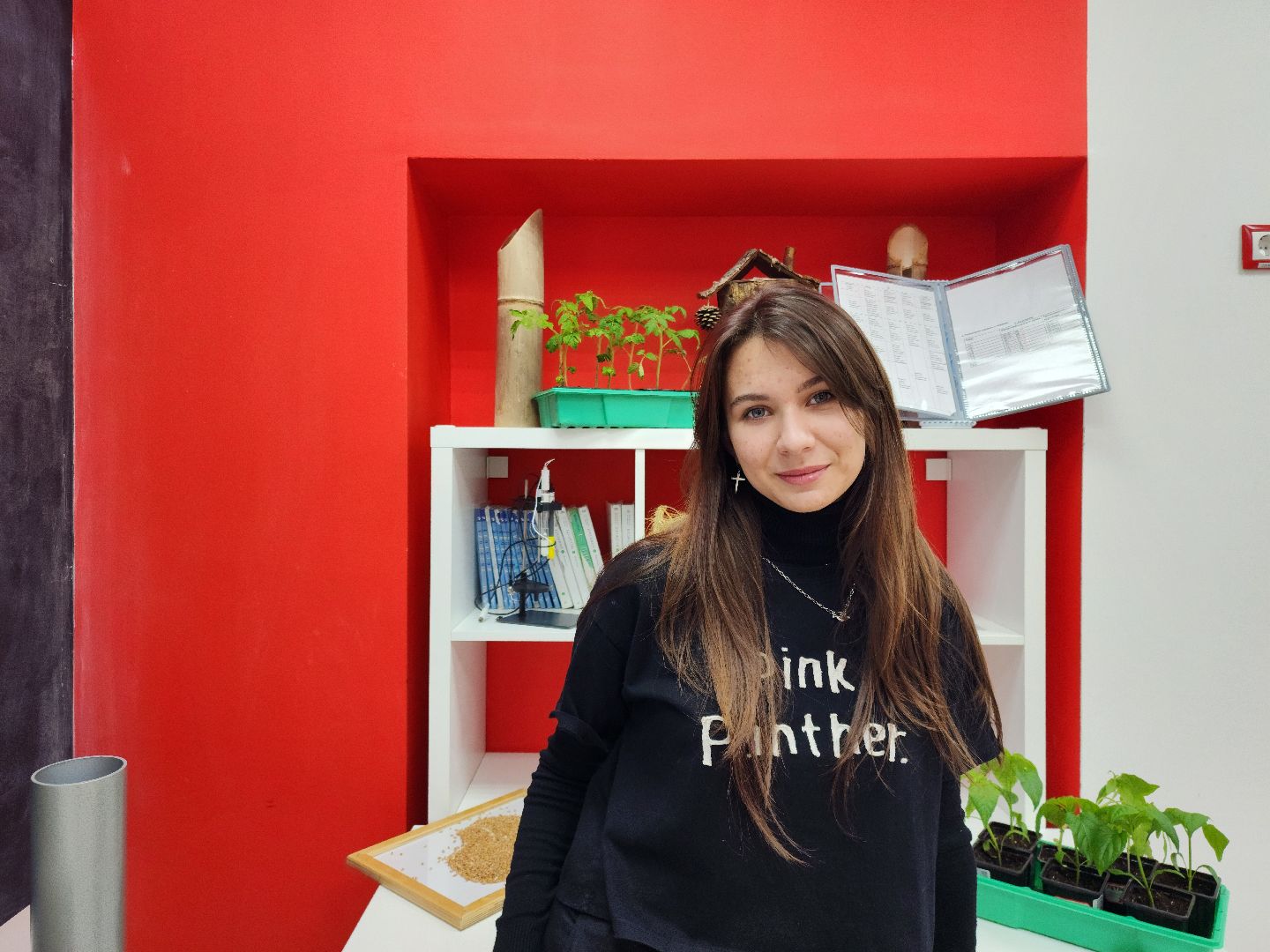 Звенигород, Образование, Конкурс,