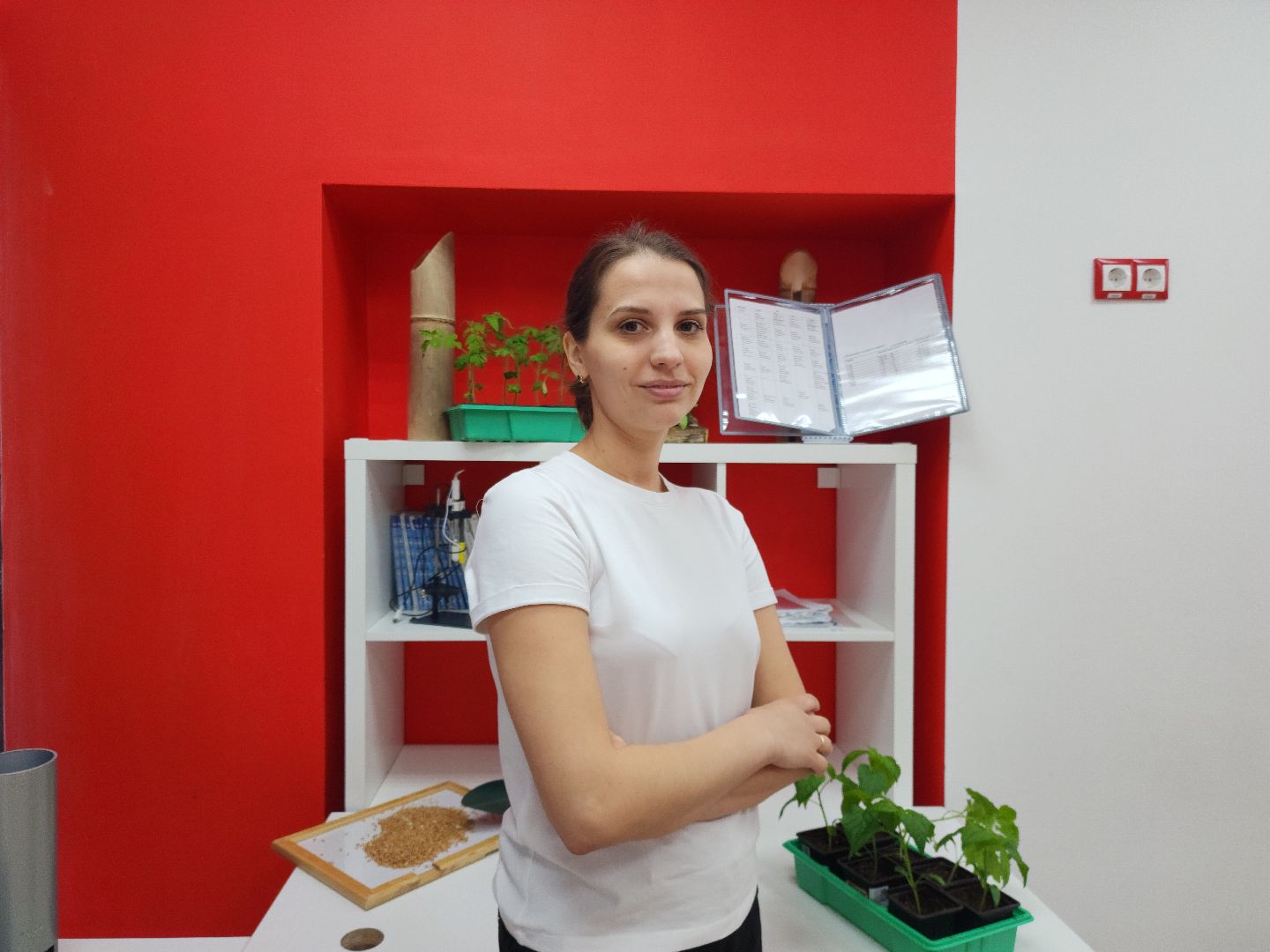 Звенигород, Образование, Конкурс,