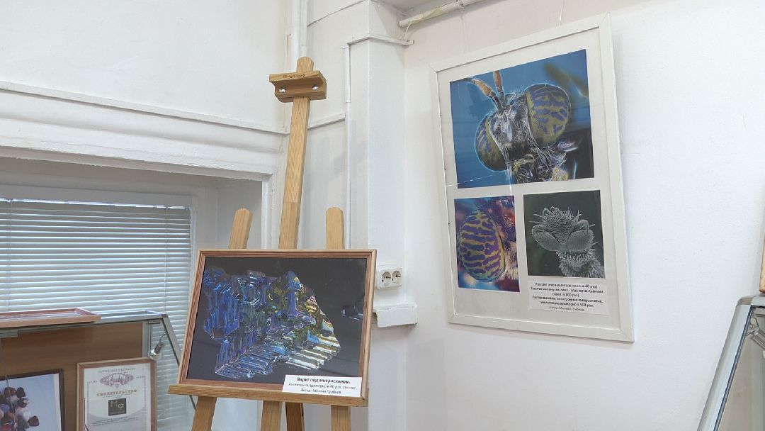 Реутов, музей, выставка, минералы, микроскоп, озеро Байкал