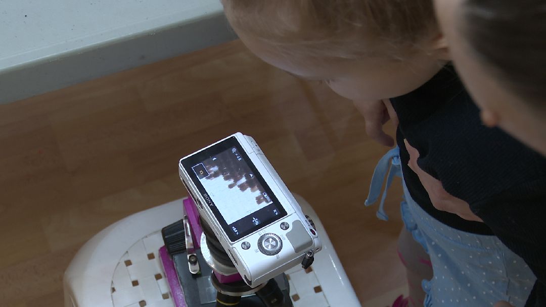 Реутов, музей, выставка, минералы, микроскоп, озеро Байкал