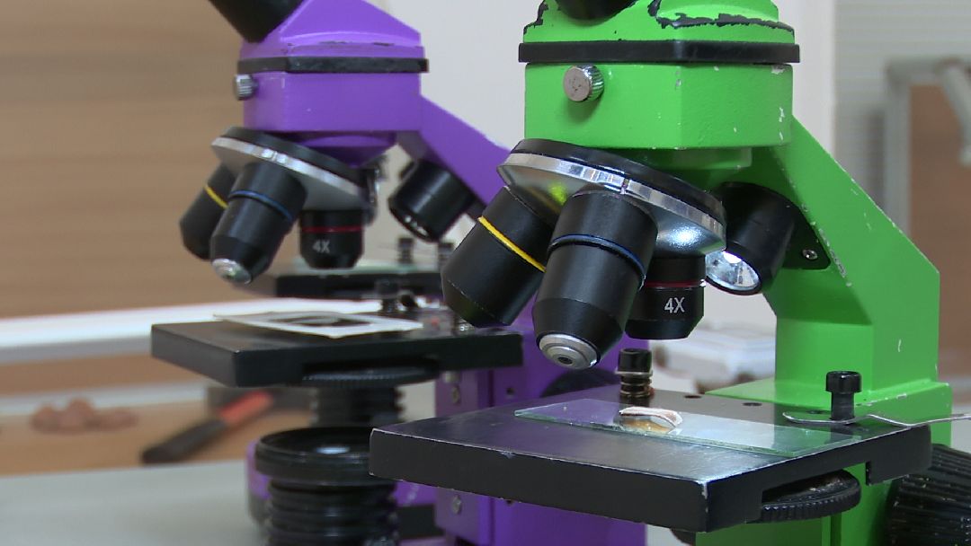 Реутов, музей, выставка, минералы, микроскоп, озеро Байкал