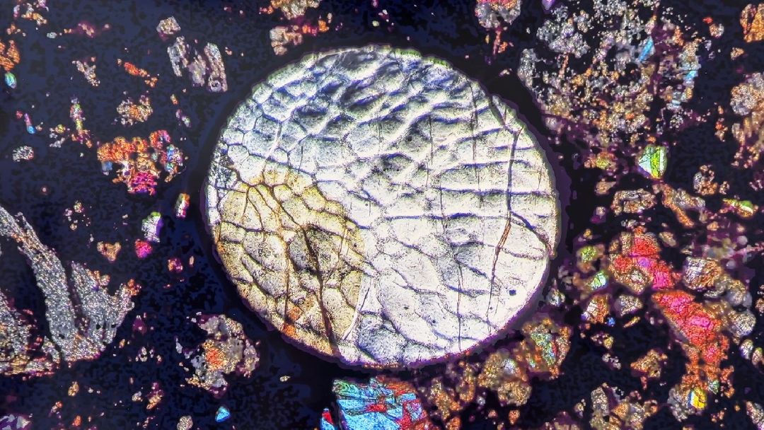 Реутов, музей, выставка, минералы, микроскоп, озеро Байкал