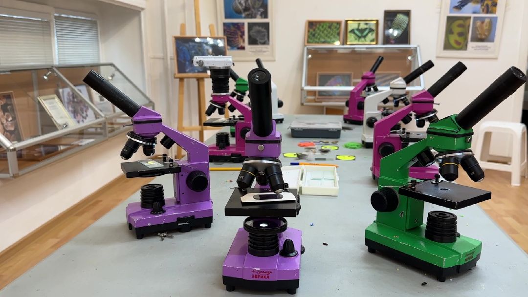 Реутов, музей, выставка, минералы, микроскоп, озеро Байкал