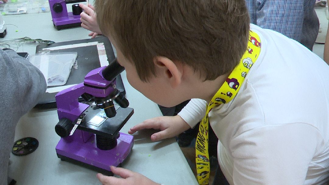 Реутов, музей, выставка, минералы, микроскоп, озеро Байкал