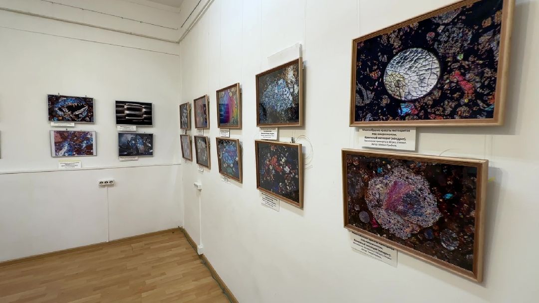 Реутов, музей, выставка, минералы, микроскоп, озеро Байкал