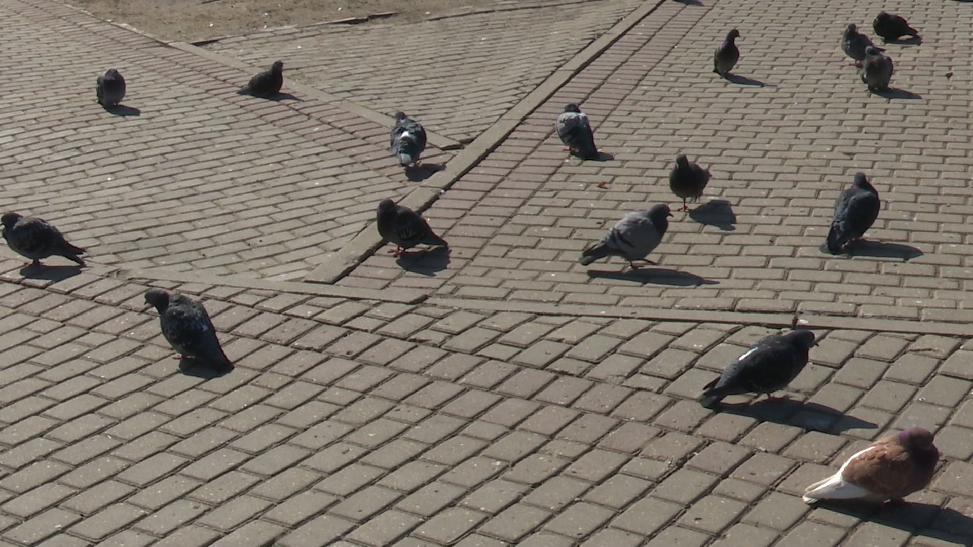 Реутов, парки, благоустройсво, уборка города, субботник, чистим, моем,