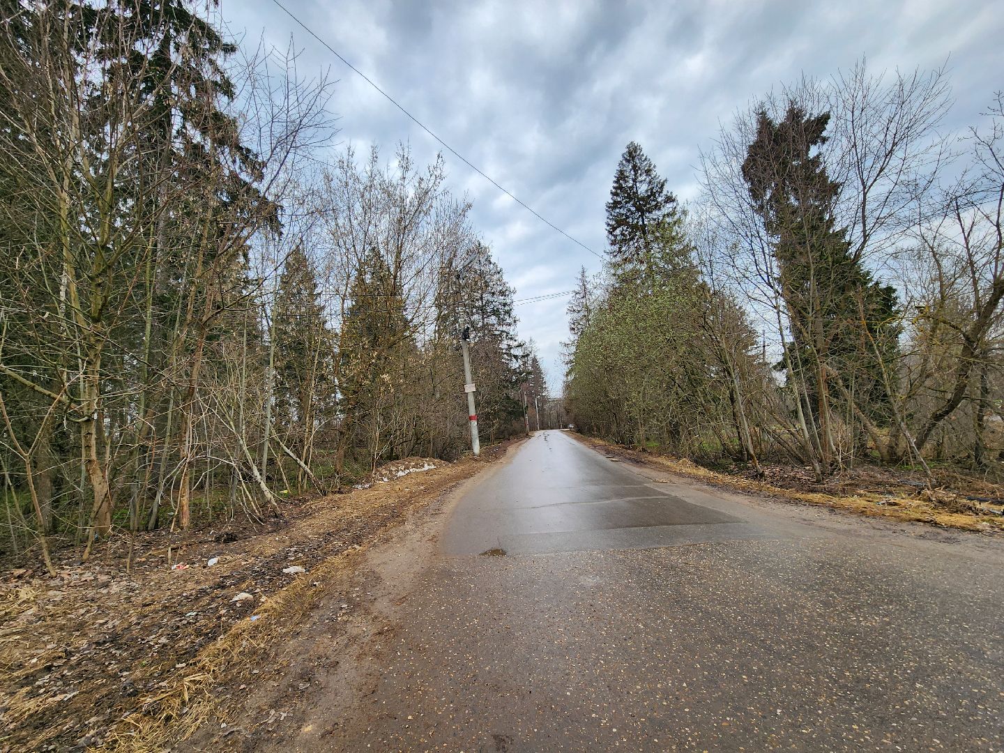 экология, голосование, благоустойство, лесопарк, тучково, руза, рузский городской округ,