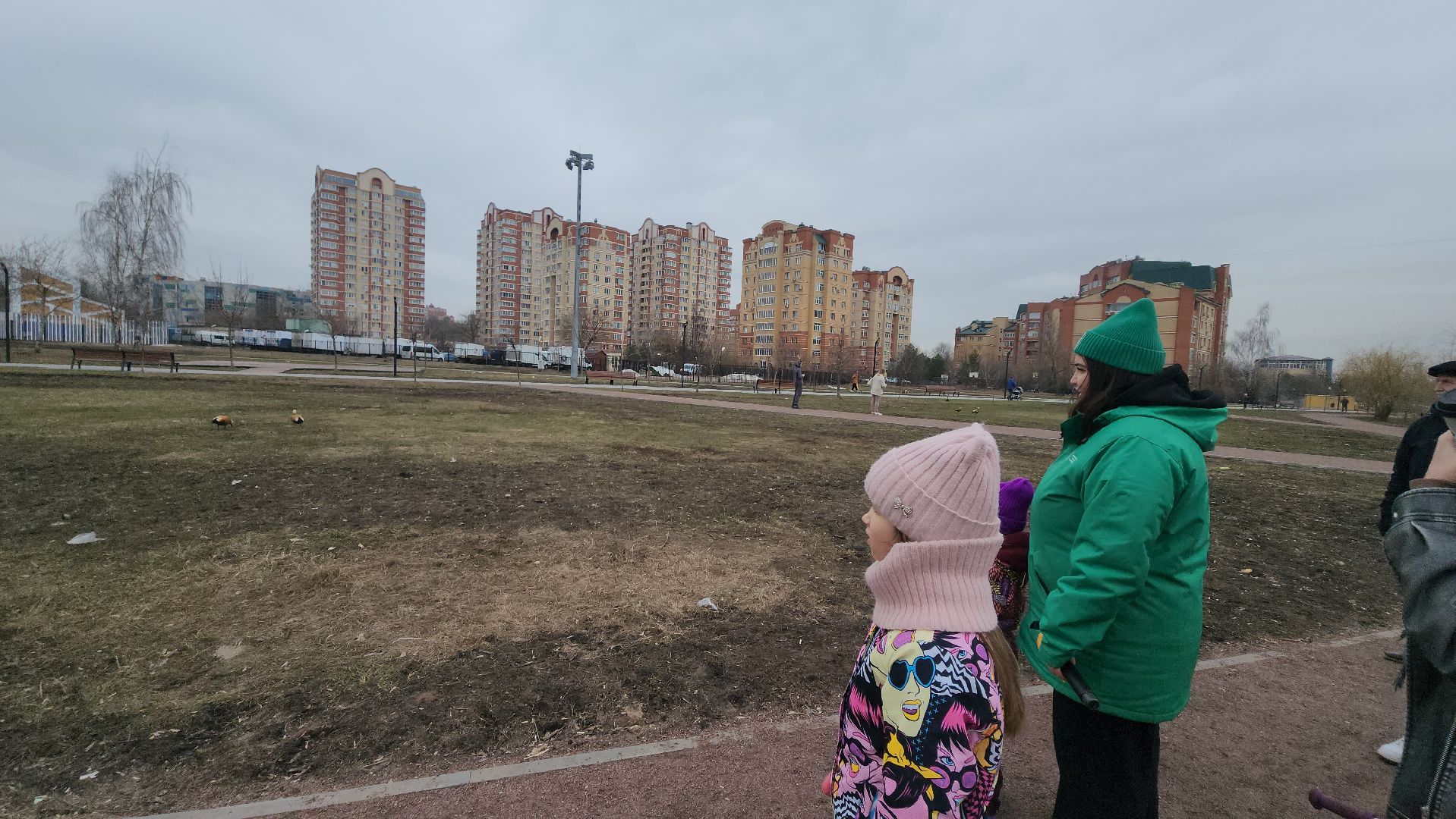 долгопрудный, парки, пернатые в парках, скворечник, экопрогулка, мастер-класс,