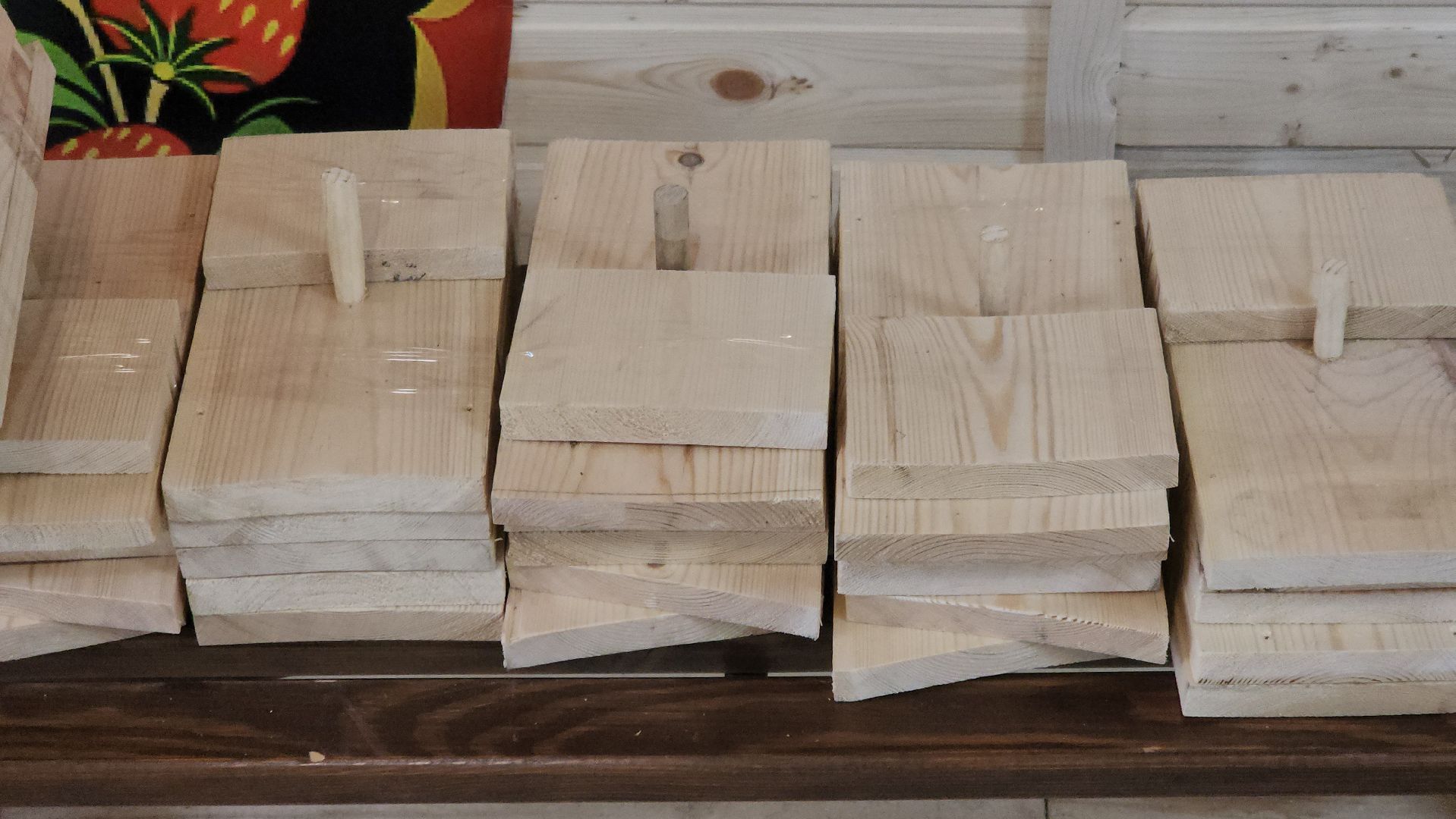 долгопрудный, парки, пернатые в парках, скворечник, экопрогулка, мастер-класс,