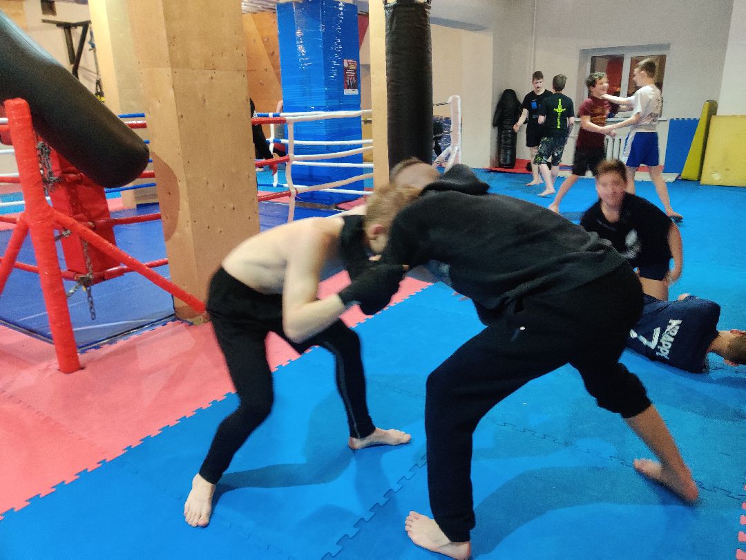 Красноармейск, смешанные единоборства, турнир ЦФО, спорт, борцы, Пересвет