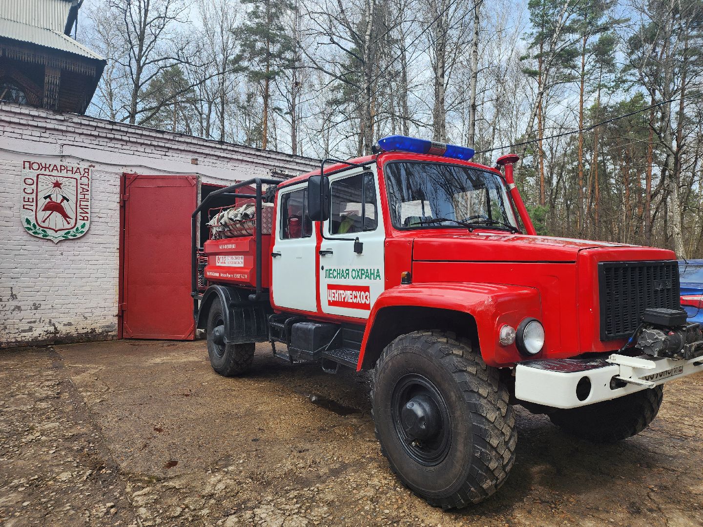 серпухов, подмосковье, пал травы, пожар, мчс,