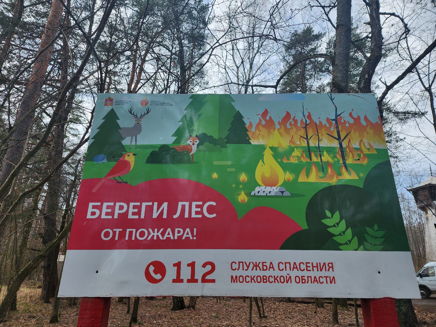 серпухов, подмосковье, пал травы, пожар, мчс,