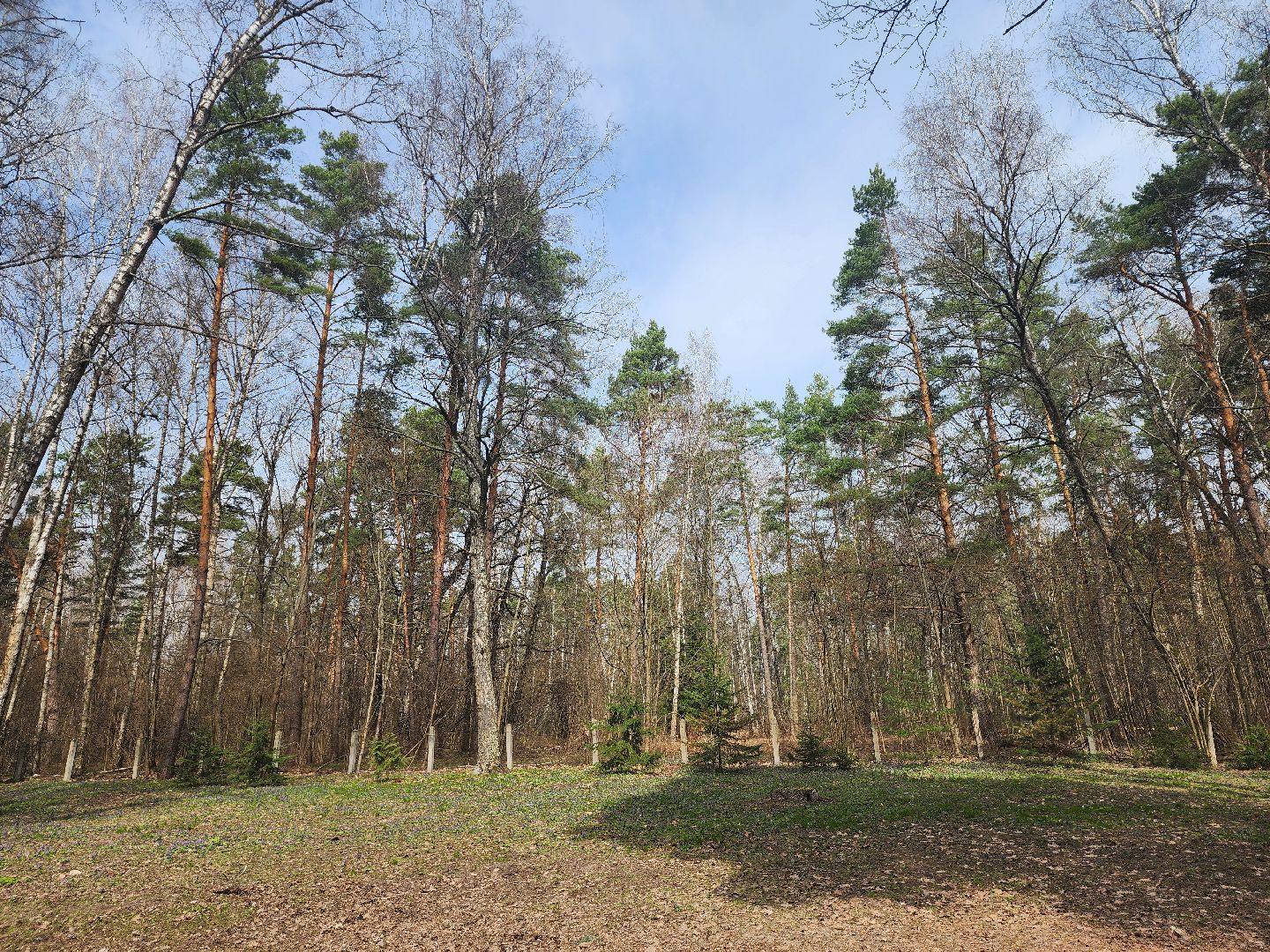 серпухов, подмосковье, пал травы, пожар, мчс,