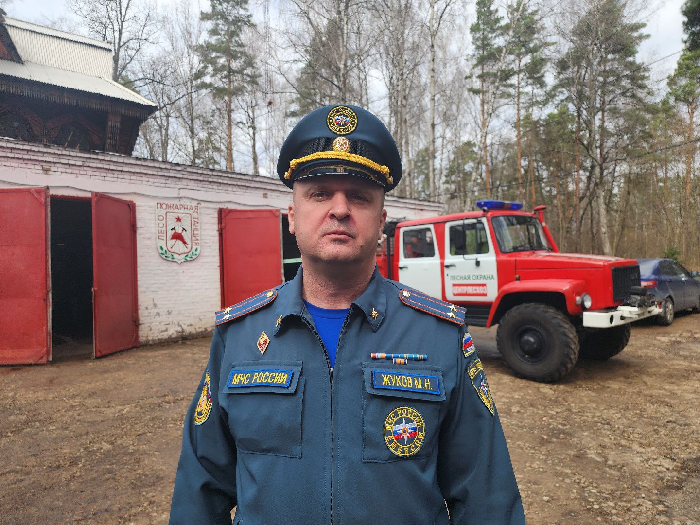 серпухов, подмосковье, пал травы, пожар, мчс,