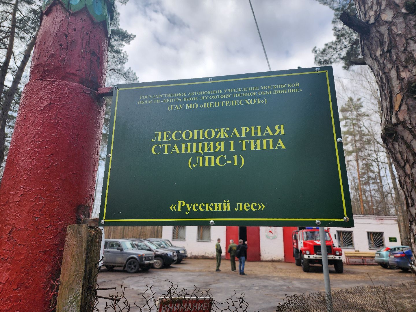 серпухов, подмосковье, пал травы, пожар, мчс,