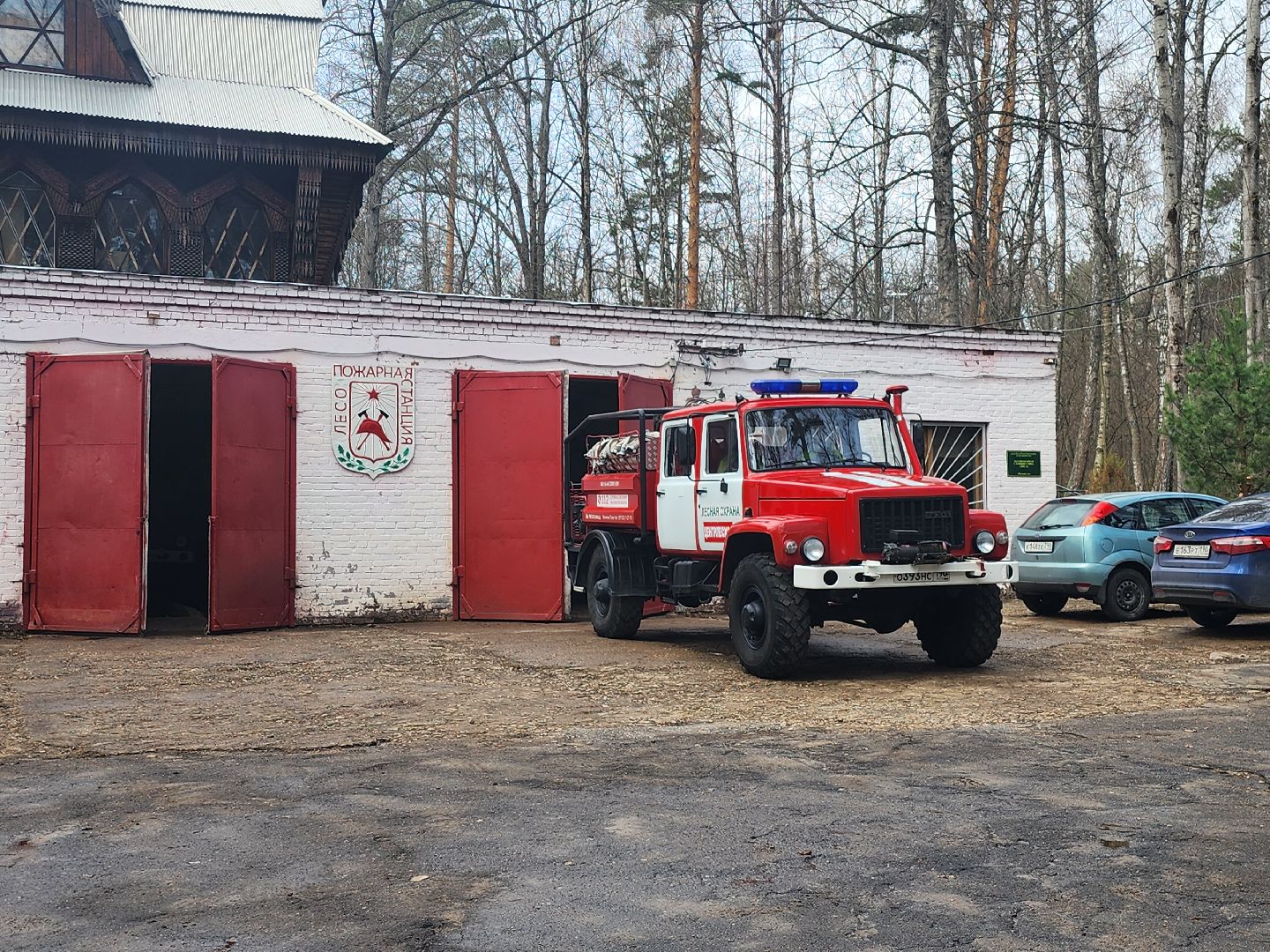 серпухов, подмосковье, пал травы, пожар, мчс,