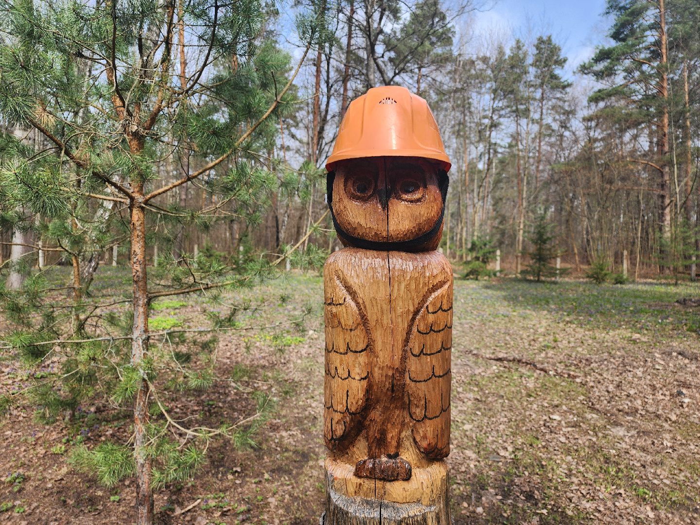 серпухов, подмосковье, пал травы, пожар, мчс,