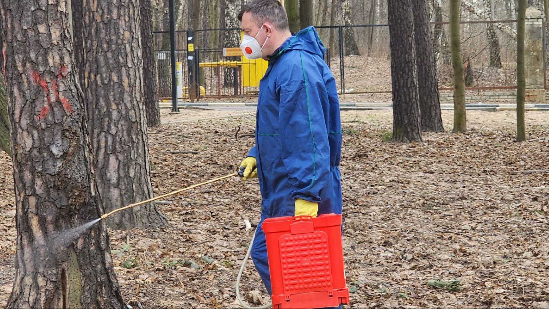 люберцы, Томилино, клещи,