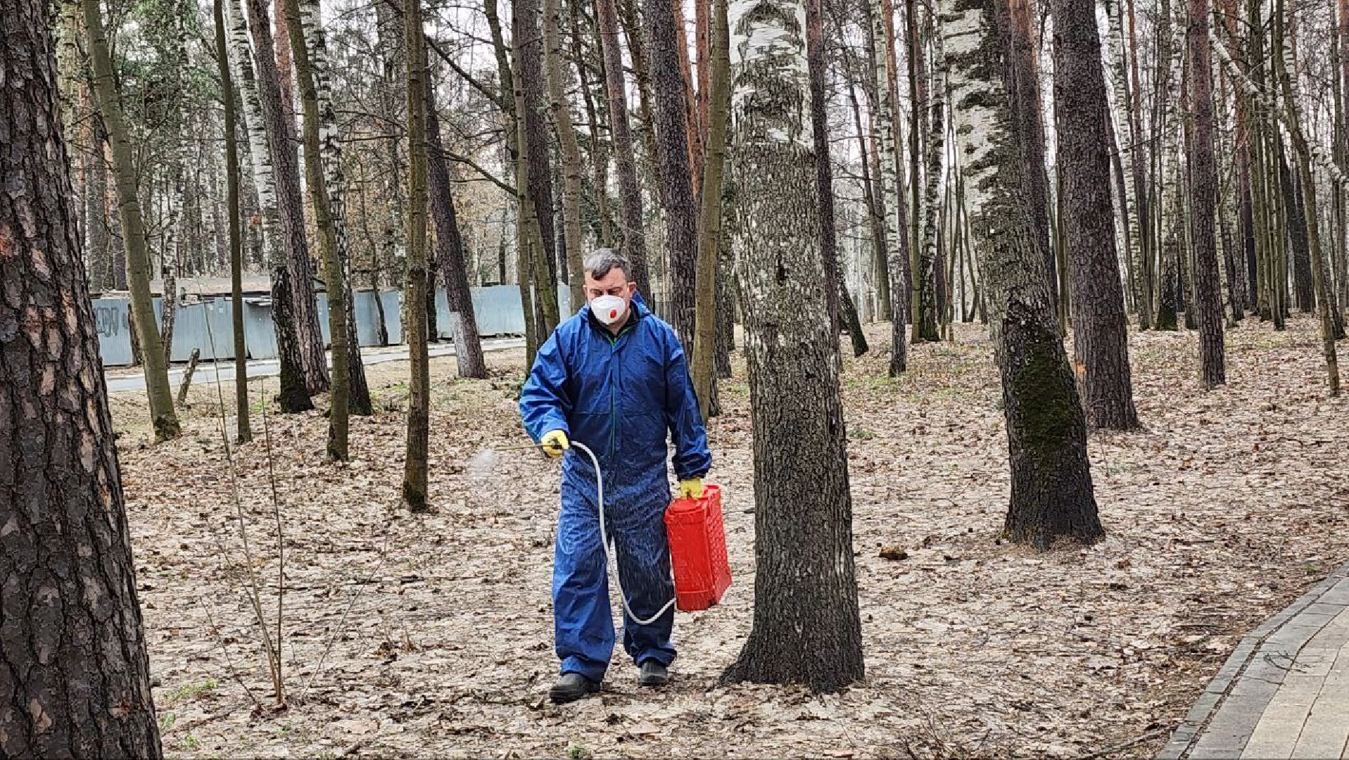 люберцы, Томилино, клещи,