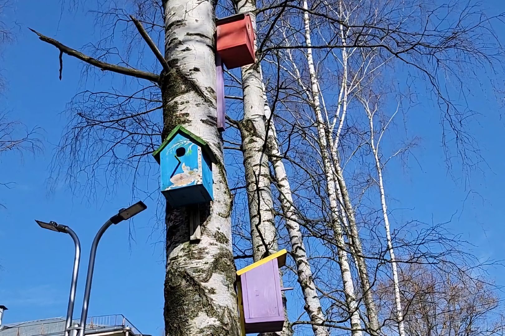 Капитальный ремонт, Дубна, центр дополнительного образования, Строительство,