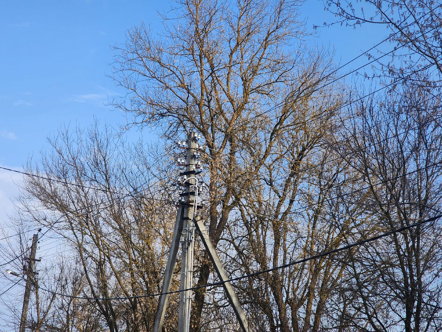 Лэп, Линии электропередачи, выездная администрация, горбово, руза, рузский городской округ, московская область, подмосковье,