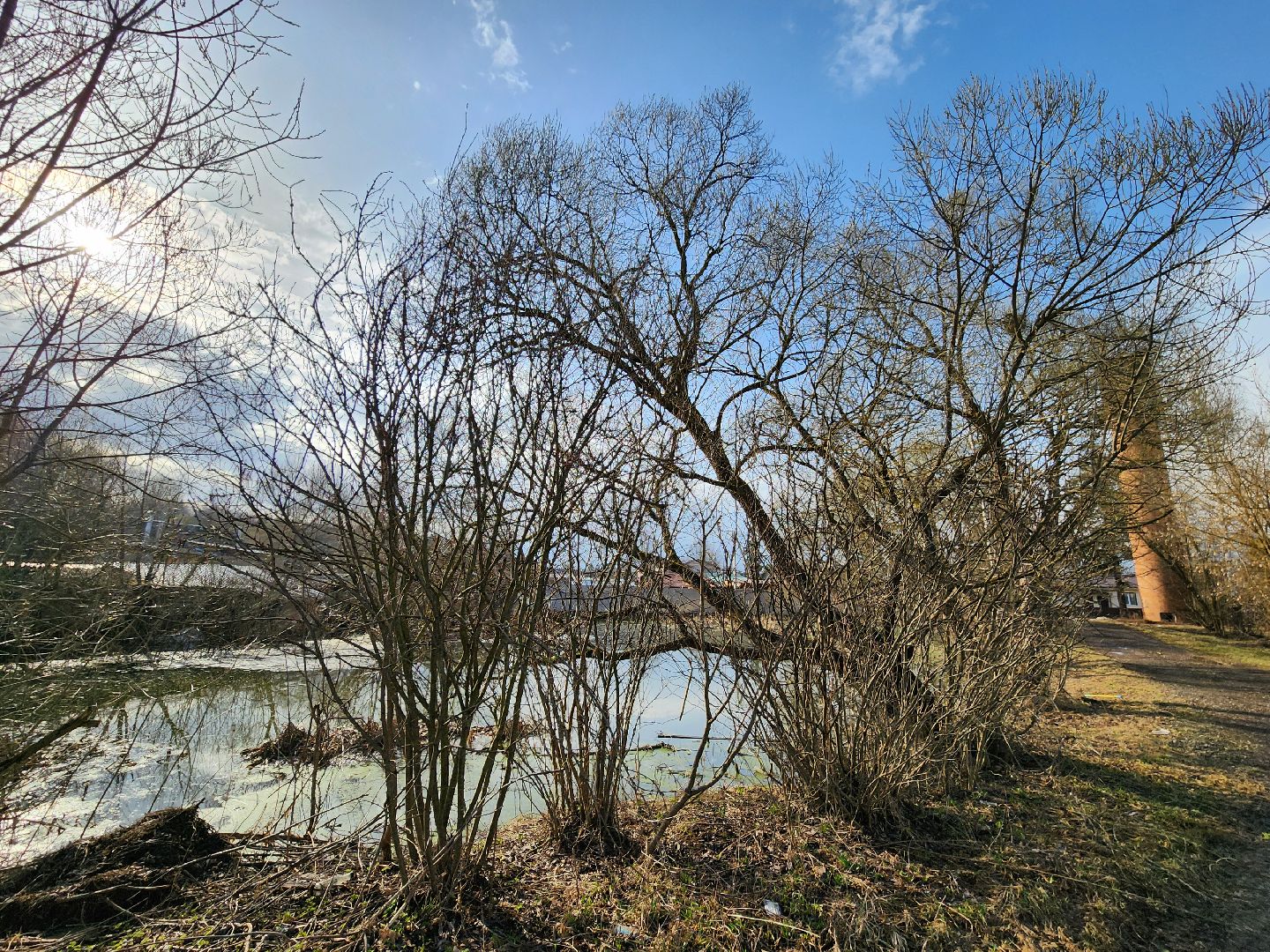 Лэп, Линии электропередачи, выездная администрация, горбово, руза, рузский городской округ, московская область, подмосковье,