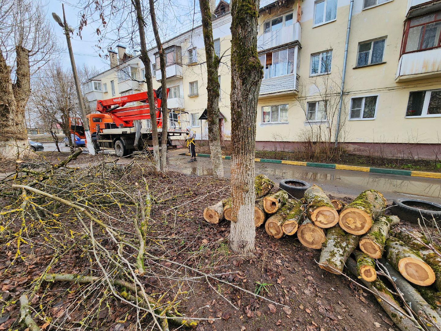 благоустройство, благоустройство 2024, аварийные деревья, тучково, руза, рузский городской округ, подмосковье, опиловка,