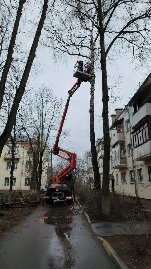 благоустройство, благоустройство 2024, аварийные деревья, тучково, руза, рузский городской округ, подмосковье, опиловка,