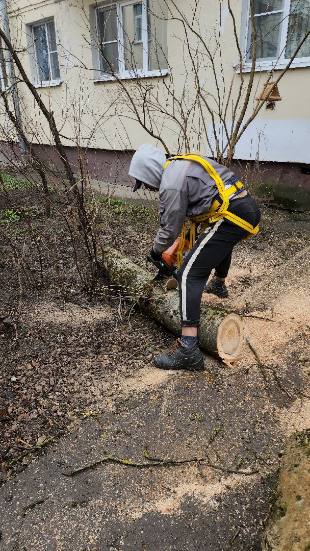 благоустройство, благоустройство 2024, аварийные деревья, тучково, руза, рузский городской округ, подмосковье, опиловка,