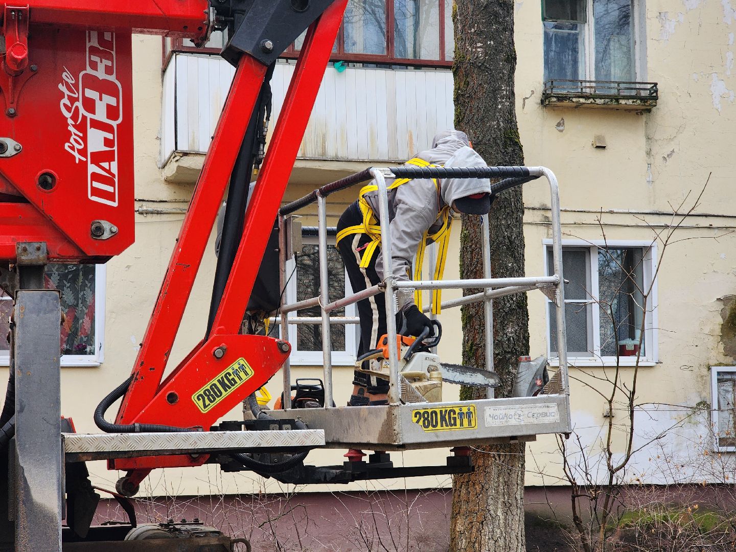 благоустройство, благоустройство 2024, аварийные деревья, тучково, руза, рузский городской округ, подмосковье, опиловка,