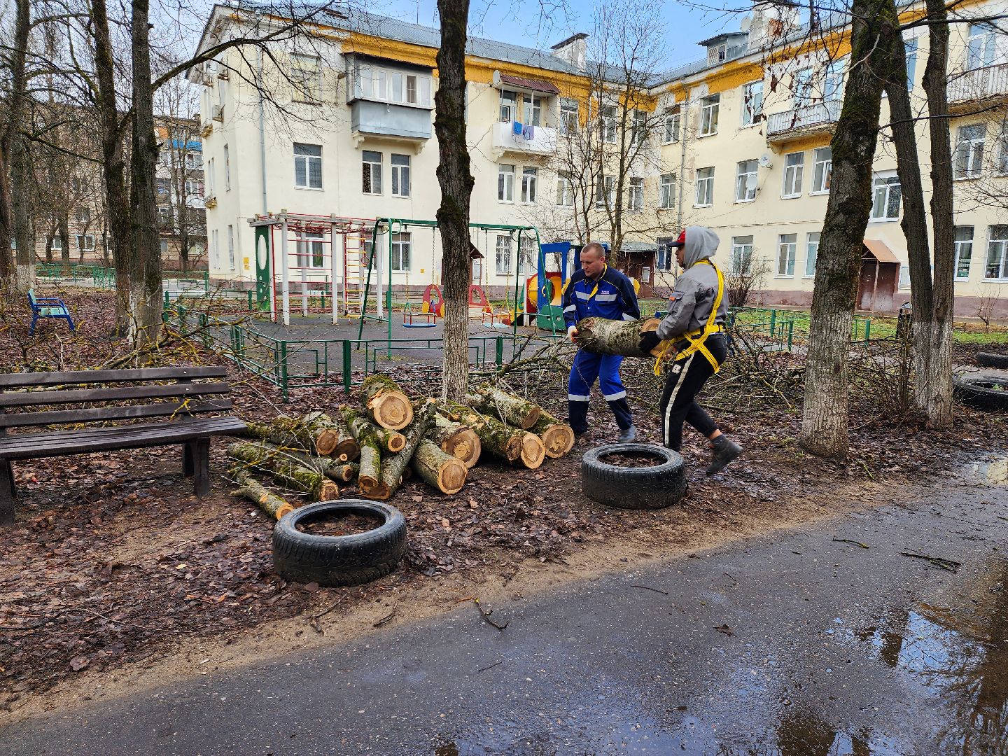 благоустройство, благоустройство 2024, аварийные деревья, тучково, руза, рузский городской округ, подмосковье, опиловка,