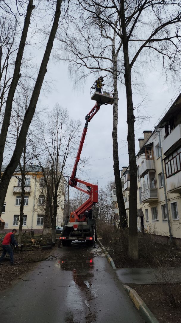 благоустройство, благоустройство 2024, аварийные деревья, тучково, руза, рузский городской округ, подмосковье, опиловка,