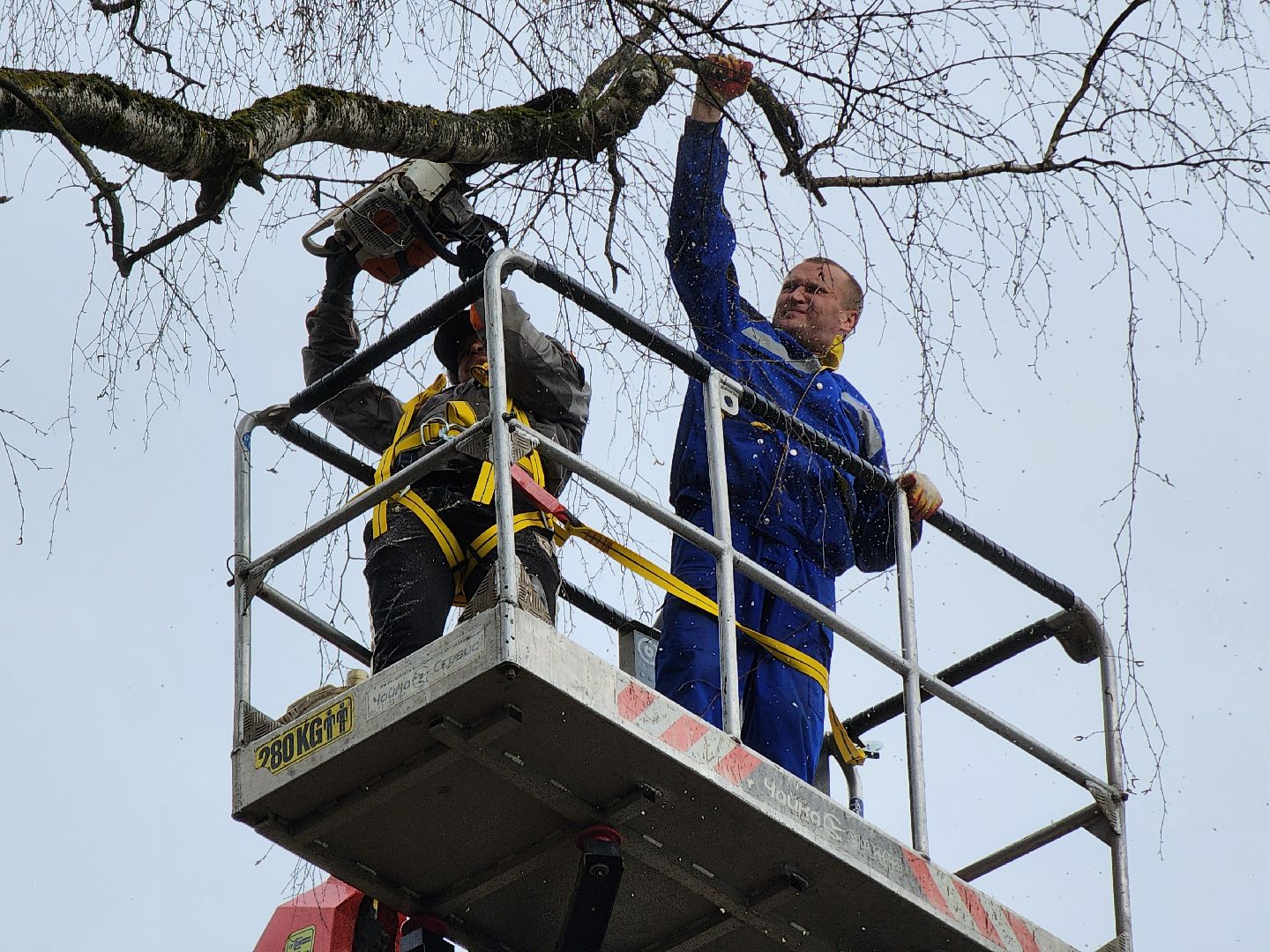 благоустройство, благоустройство 2024, аварийные деревья, тучково, руза, рузский городской округ, подмосковье, опиловка,