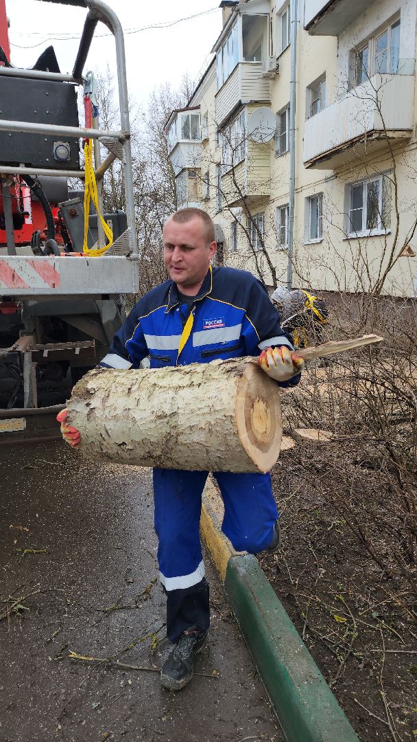 благоустройство, благоустройство 2024, аварийные деревья, тучково, руза, рузский городской округ, подмосковье, опиловка,