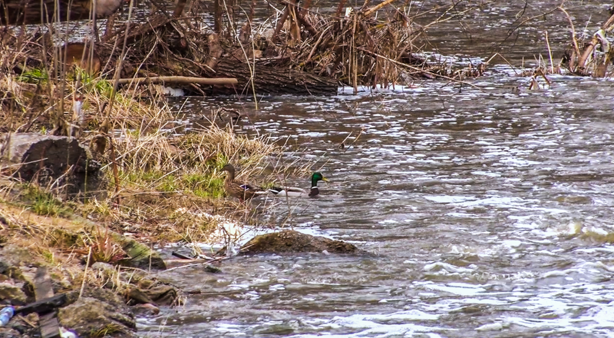 Клин, общество, благоустройство, ЖКХ,